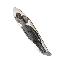 Dandy d'éléphant skateboards personnalisés
