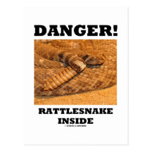 Danger ! Serpent à sonnettes à l'intérieur Carte Postale