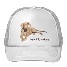 Danois de chocolat du lait - je suis un Chocoholic Casquette
