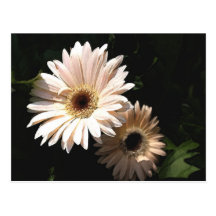 Dans la carte postale de jardin