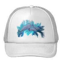 Dans le dauphin - l'école casquettes