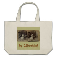 Dans le préjudice sac en toile
