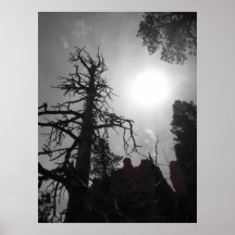 dans le soleil affiche