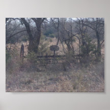 Dans les bois poster