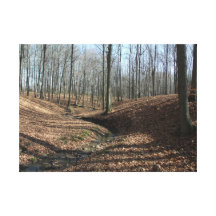 Dans les bois toile enveloppée toile tendue