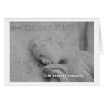 Dans les Deepest Sympathy Cartes