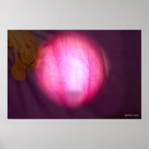 DANS UN PÉTALE 1 - LEVER DE SOLEIL DANS LE BOIS POSTERS