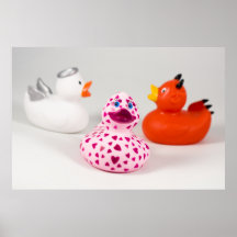 Daphne en affiche de canards de conscience d'amour