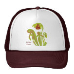 Darlingtonia de plante carnivore casquettes