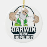 Darwin est mon Homeboy (polychrome) Décorations De Noël