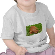 daschund-20.jpg t-shirts