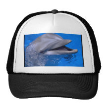 Dauphin Casquette