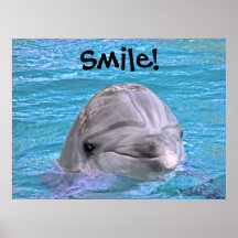 Dauphin de sourire - sourire ! posters