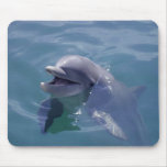 Dauphin de sourire tapis de souris