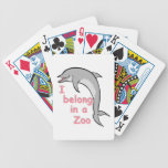 Dauphin de zoo