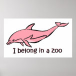 Dauphin de zoo affiche