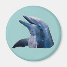 Dauphin Magnets