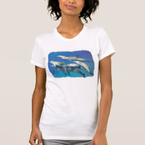 dauphin repéré sauvage t-shirts