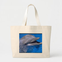 Dauphin Sac