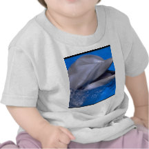 Dauphin T-shirts
