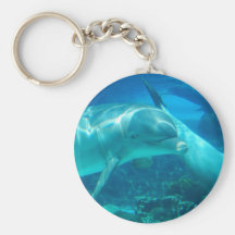 Dauphins espiègles Keychain Porte-clef