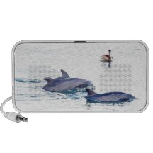 Dauphins et haut-parleur de griffonnage d'OrigAudi
