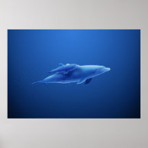 Dauphins Poster