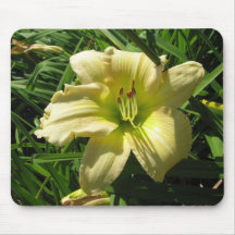 Daylily jaune tapis de souris