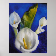 de calla affiche lilly