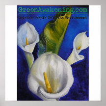 De calla affiche lilly