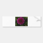 De dahlia magenta profondément autocollants pour voiture