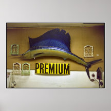 De la meilleure qualité posters