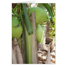De noix de coco carte verte trop