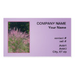 De rose herbe muhly cartes de visite professionnelles