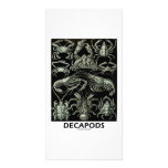 Décapodes Cartes Avec Photo