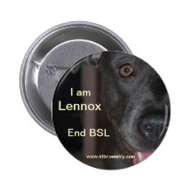 DÉCHIRURE Lennox Badges Avec Agrafe