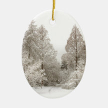 Décorations d'arbres de neige d'ornement de paysag