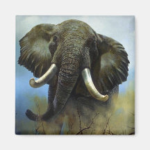 Défenses, éléphants magnets