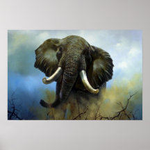 Défenses, éléphants posters
