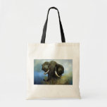 Défenses, éléphants sacs