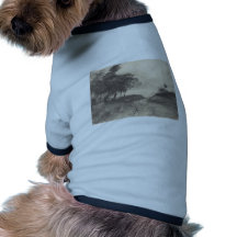 Degas- The Road Pet T Shirt