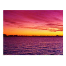 Delite rose cartes postales