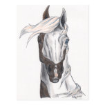 Demi de peinture chauve cartes postales