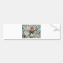 Dentelle blanche autocollant pour voiture