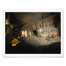 Dents de dinosaure impressions photographiques