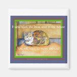 Déplacez l'aimant de chat