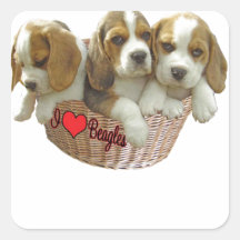 Des chiots de chien de beagle, j'aime des beagles autocollants
