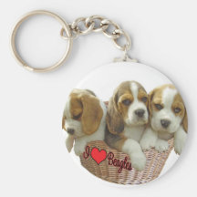 Des chiots de chien de beagle, j'aime des beagles porte-clés