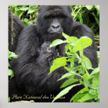 DES national Volcans, Kwitonda G de Parc… Affiches