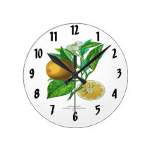 DES Orangers de Histoire Naturelle Pendule Murale